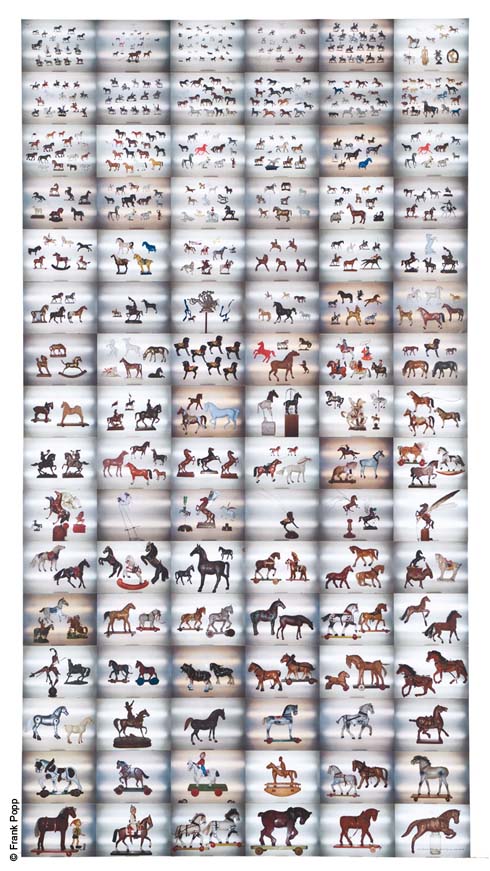 Nicht alle meine Pferde aber elf mal Pegasus